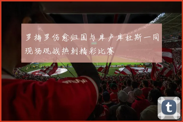 罗梅罗伤愈归国与库卢库杜斯一同现场观战热刺精彩比赛