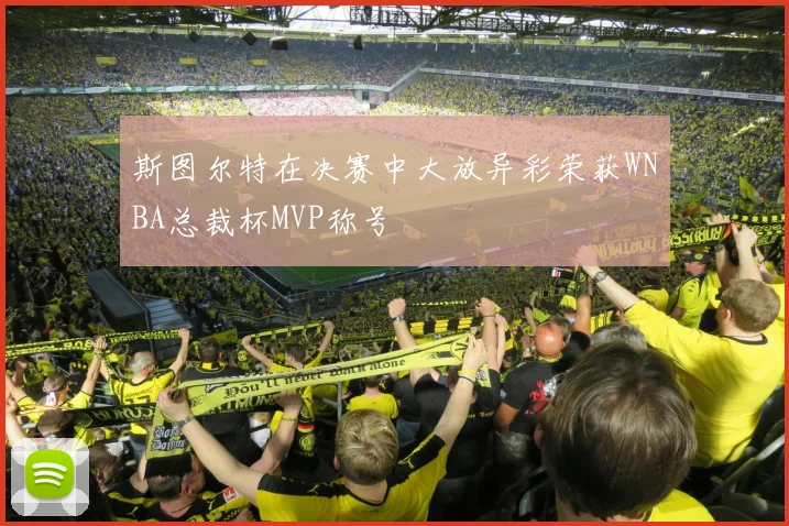 斯图尔特在决赛中大放异彩荣获WNBA总裁杯MVP称号